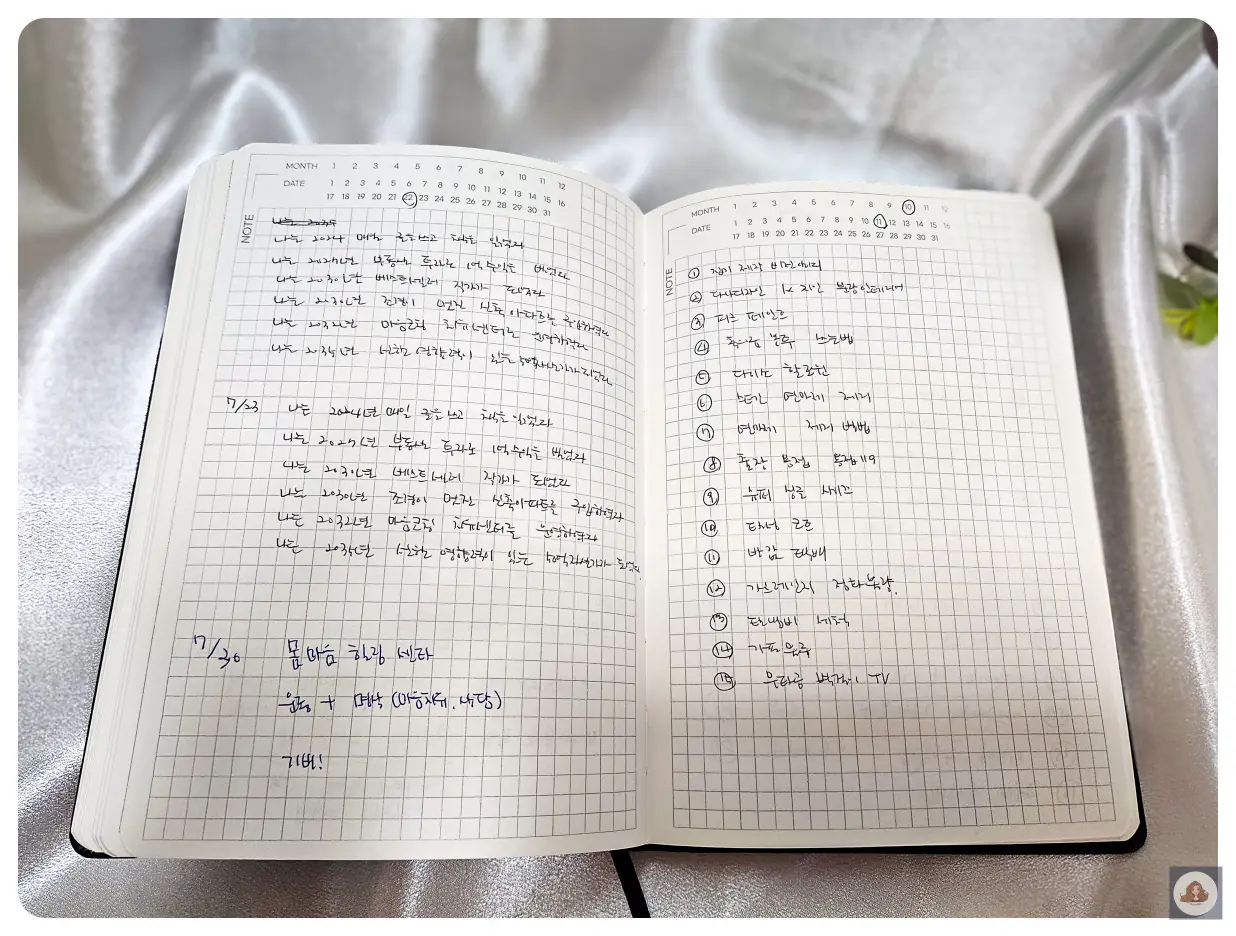 PDS-다이어리-작성