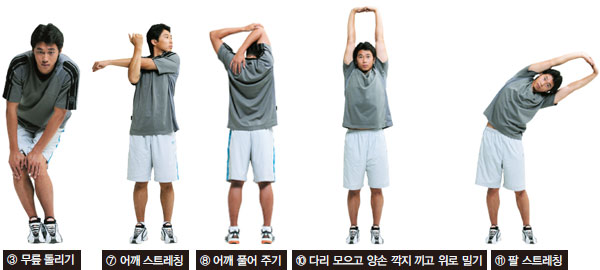 신체 건강 (Physical Wellness) &ndash; 운동 루틴 &amp; 홈트레이닝 완벽 가이드