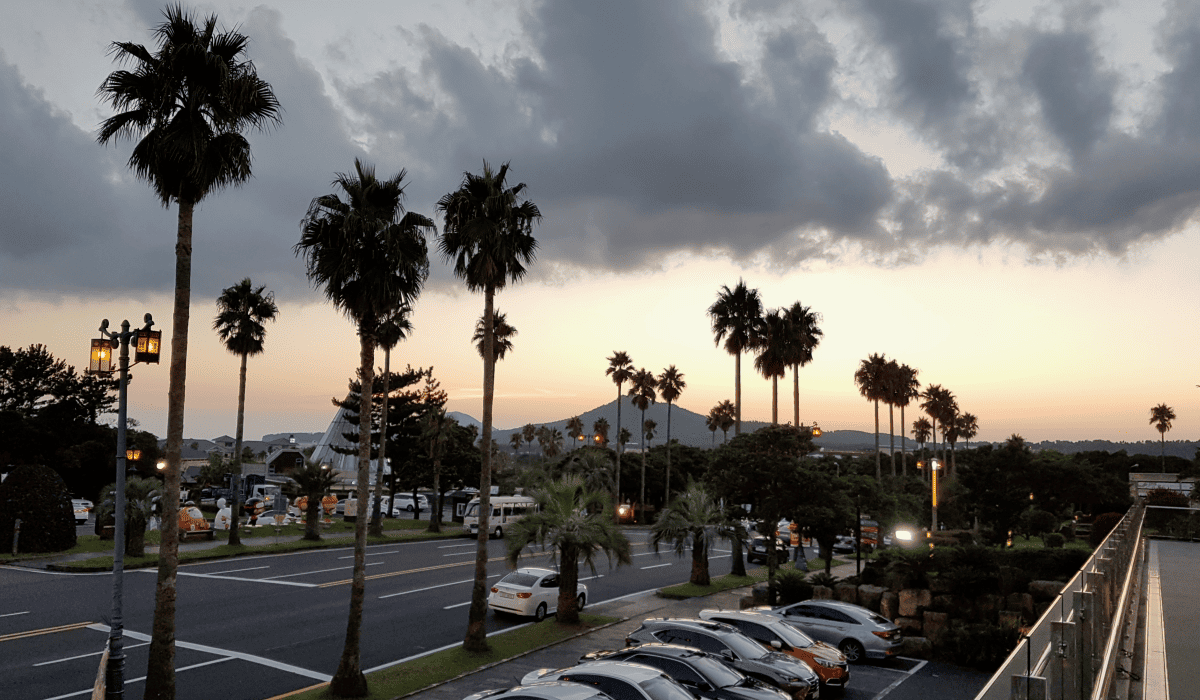 제주렌트카비교사이트_22