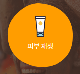 2025 보령머드축제 완벽 가이드
