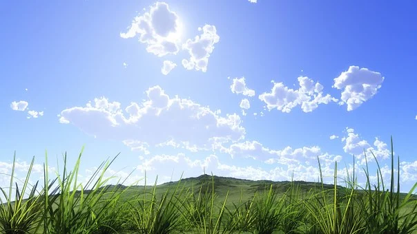 병진일주