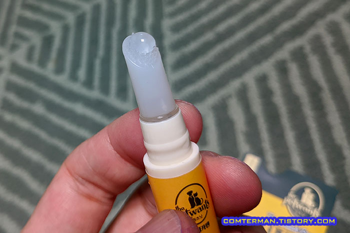 치약내장형 고양이 칫솔