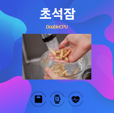 초석잠 알아보기