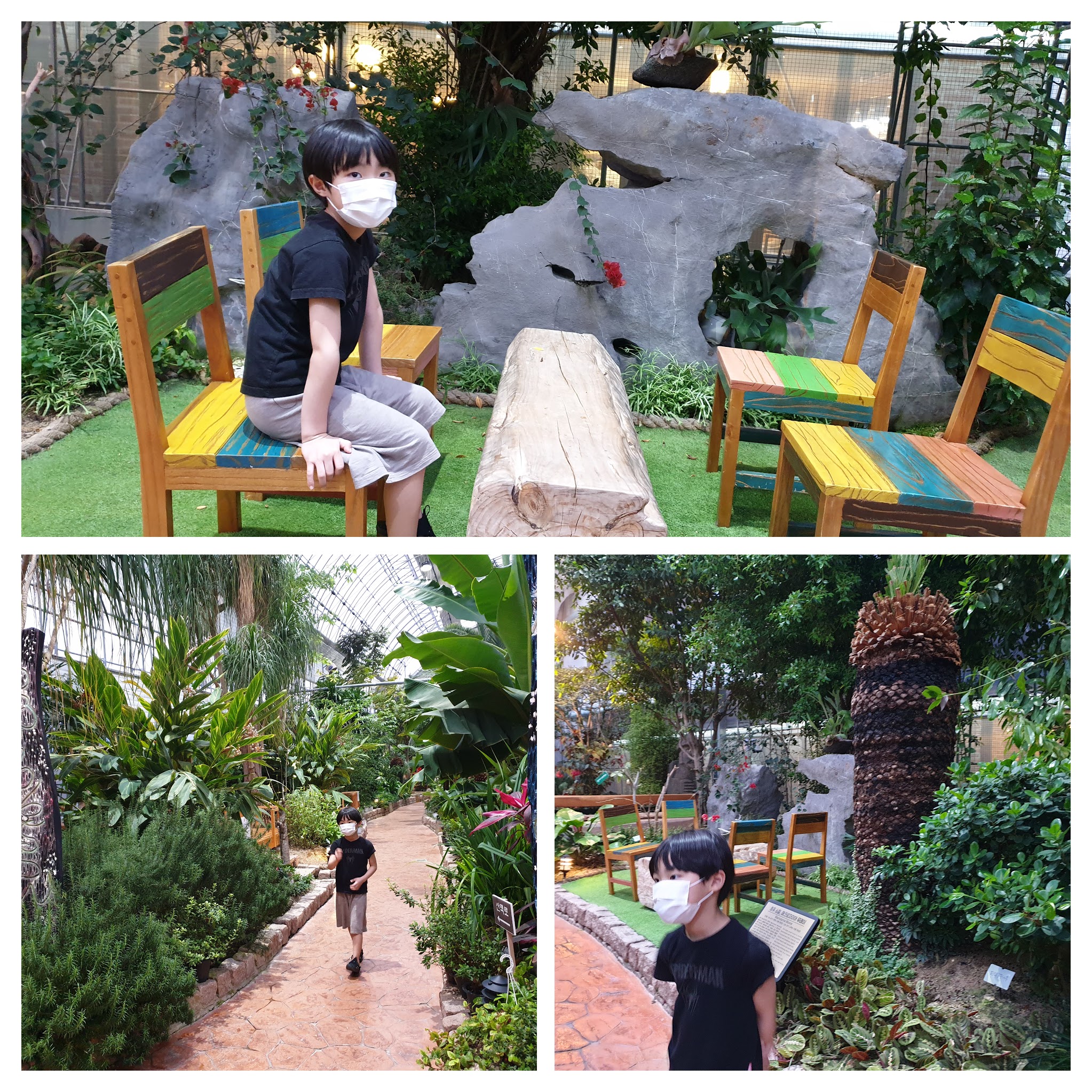 바오밥식물원베이커리카페 후기