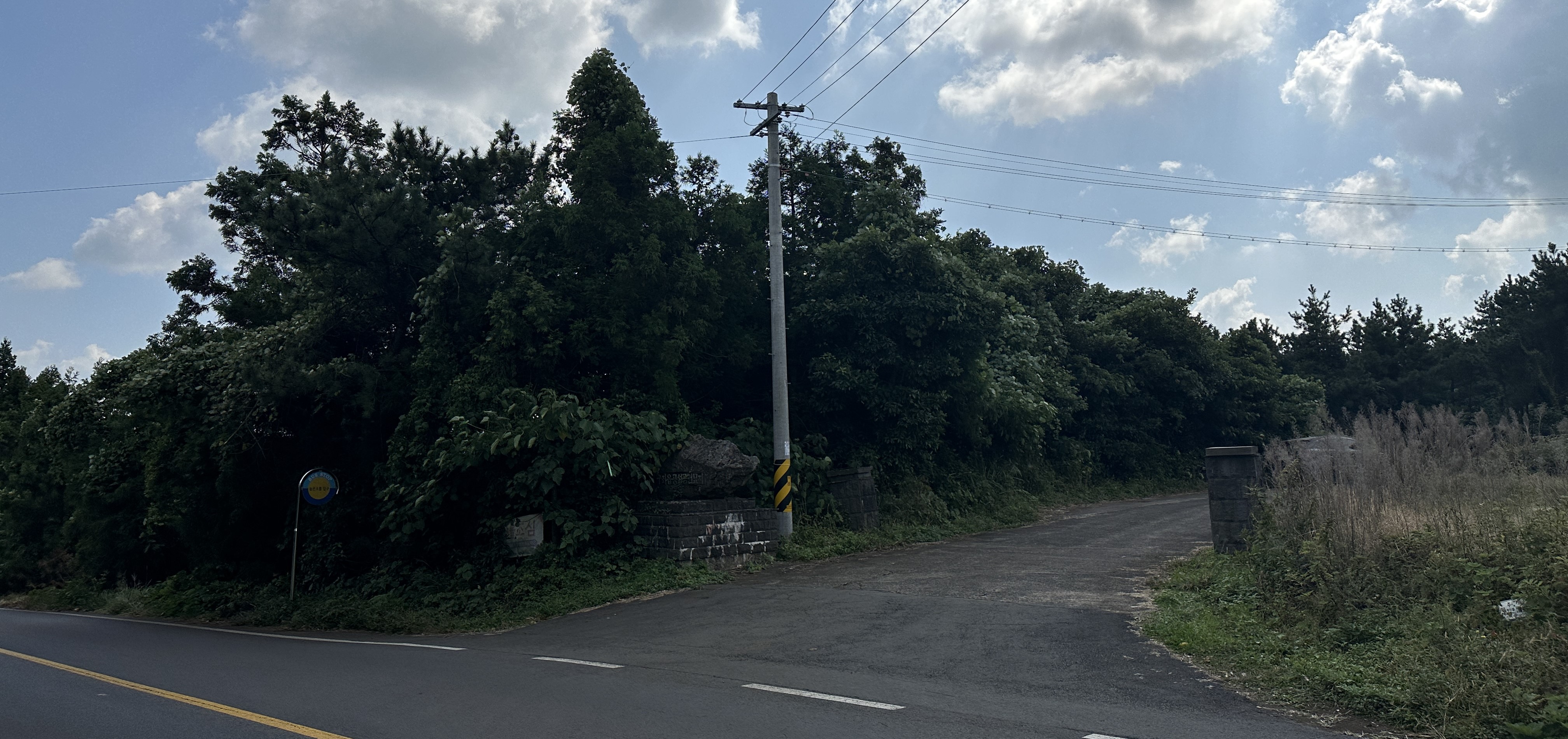 높은오름 진입로