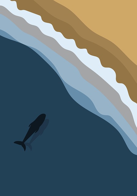 운전면허증 갱신 경찰서 찾는법