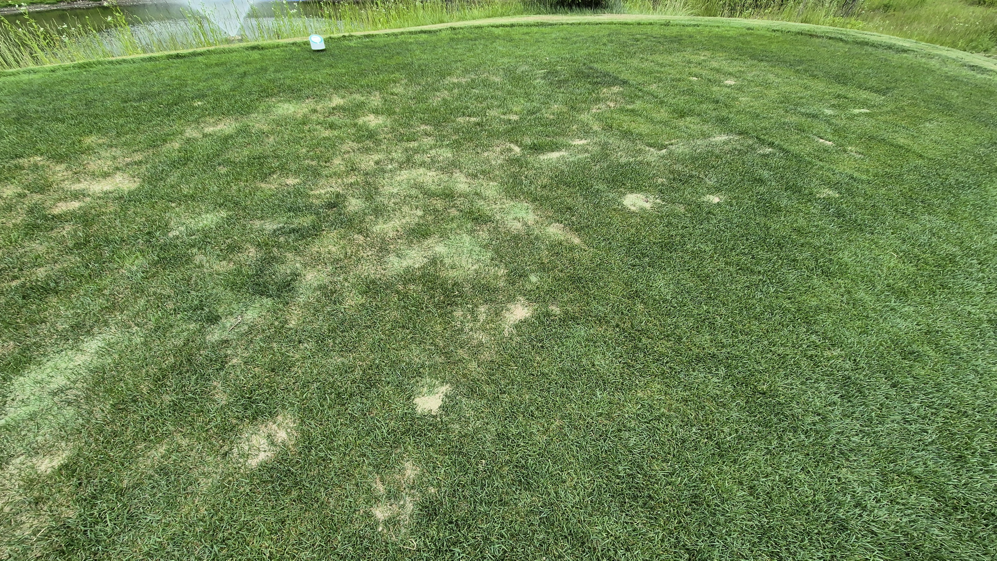 샴발라cc 라운드 후기