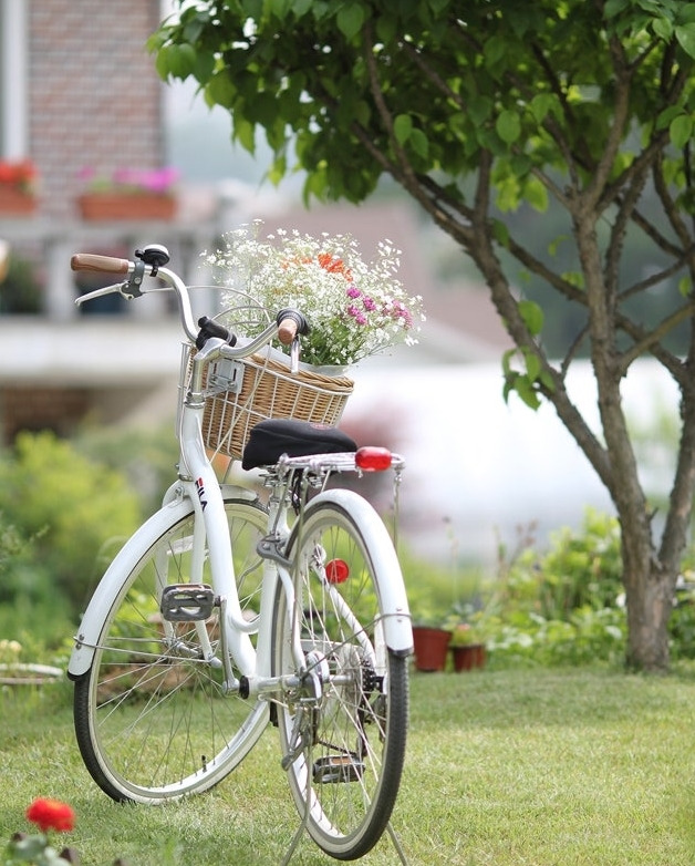 선유도 자전거 여행 이미지 사진