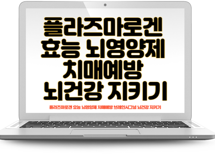 플라즈마로겐 효능 뇌영양제 치매예방 브레인시그널 뇌건강 지키기