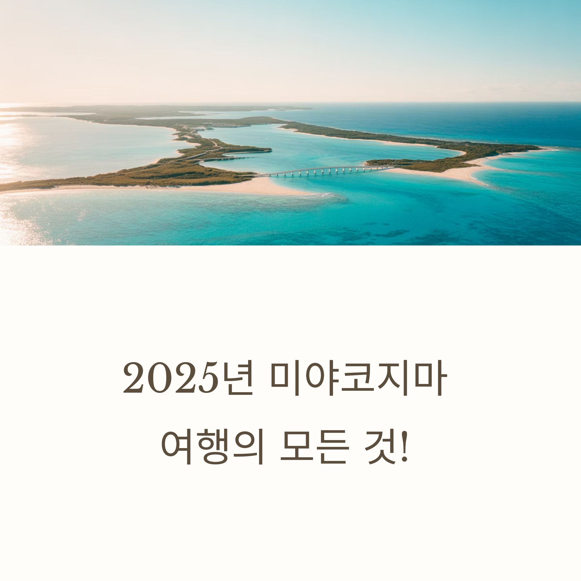 2025년 미야코지마 여행