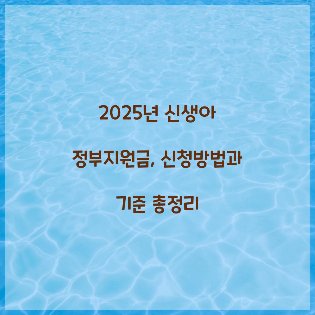 2025년 신생아 정부지원금