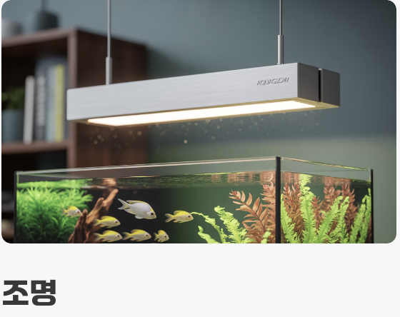 수중 세계를 위한 필수 장비