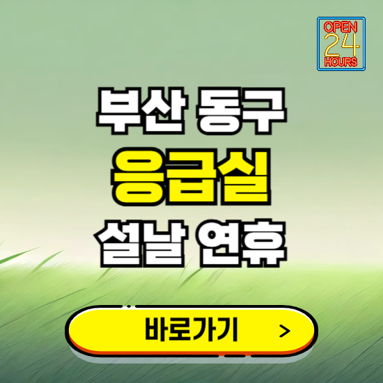 부산 동구 설날 연휴 비상진료 응급실 병원 찾기 ❘ 내근처 24시 야간 심야 휴일 가능한 곳