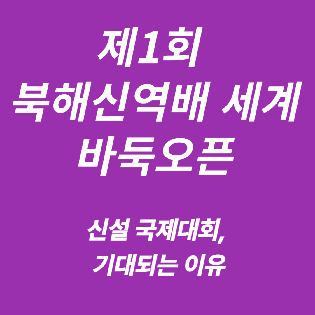 제1회 북해신역배 세계바둑오픈