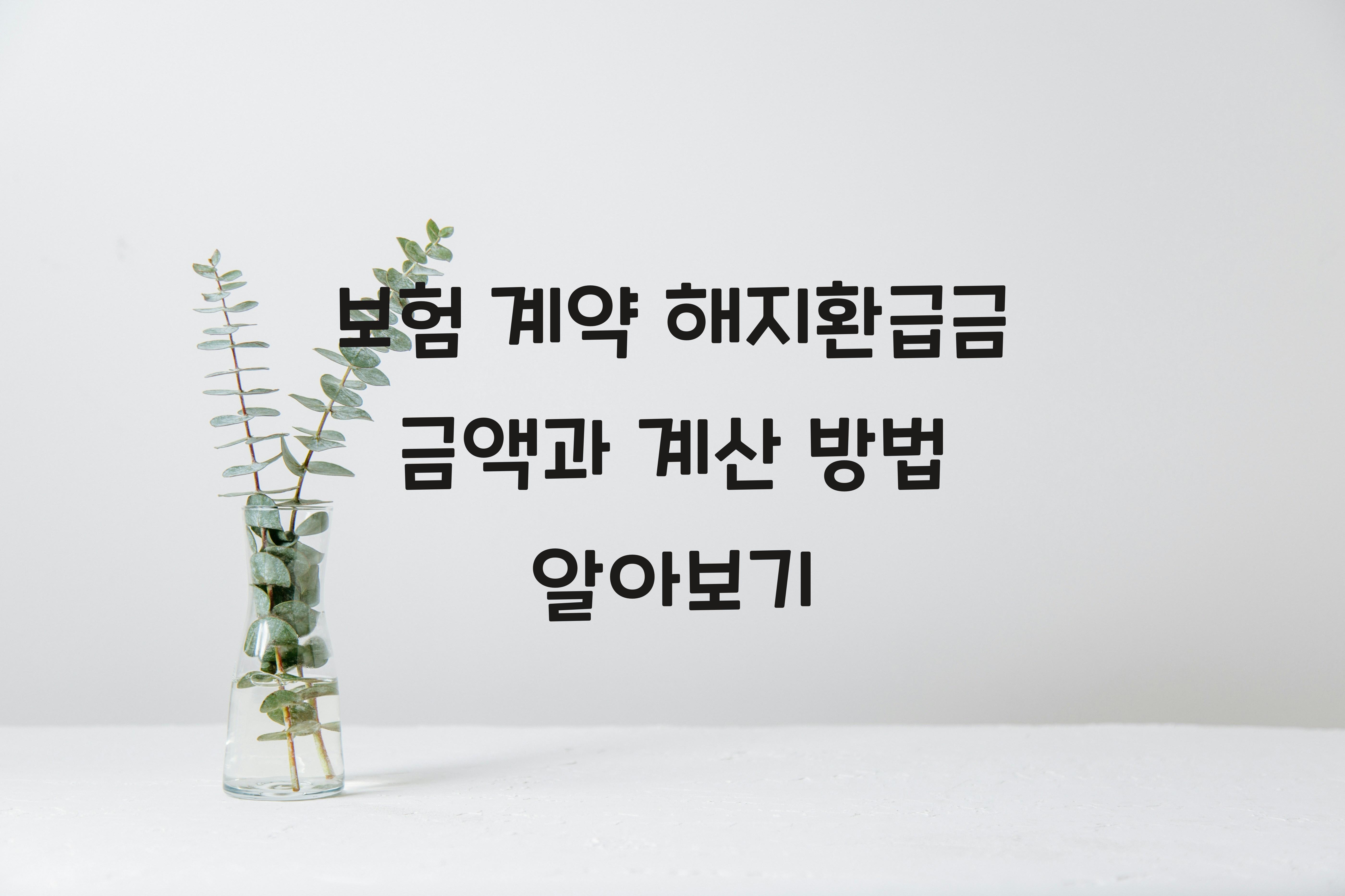 보험 계약 해지환급금