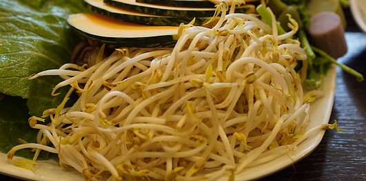 숙주나물