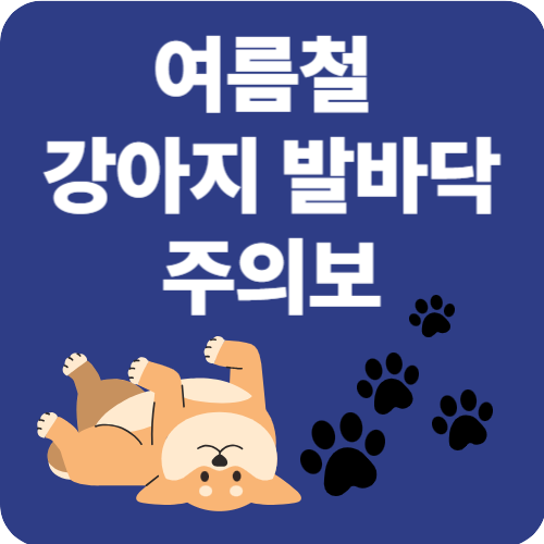 여름철 강아지 발바닥 화상 주의보