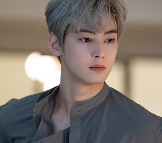 차은우 프로필