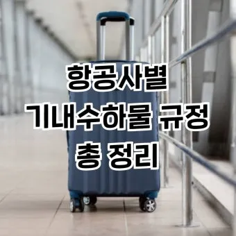 기내 반입 캐리어 사이즈 무게 총정리 완벽 가이드 매뉴얼_10