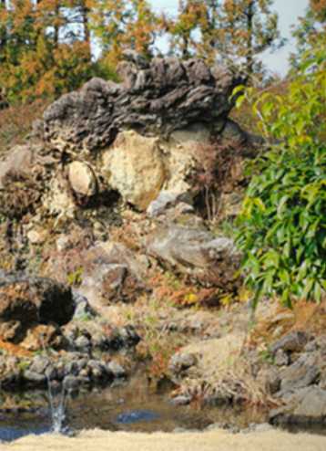 휴애리 수국축제