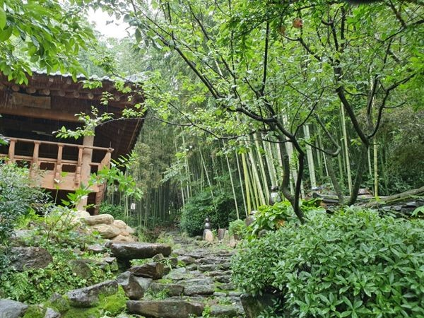 생방송투데이 스카이바이크&#44; 쌍산재&#44; 향나무숲