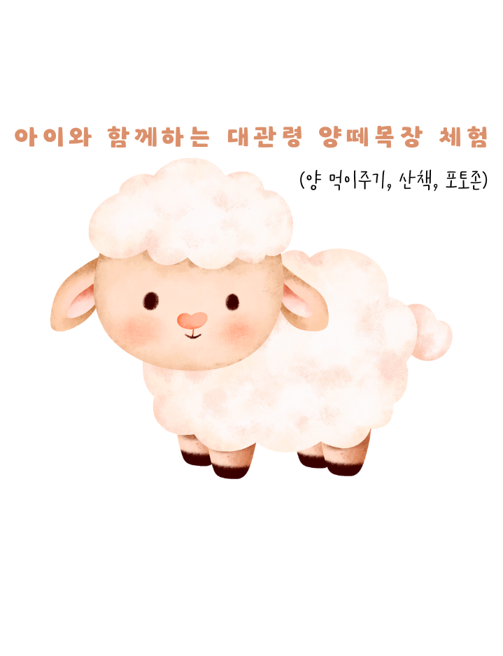 아이와 함께하는 대관령 양떼목장 체험 (양 먹이주기, 산책, 포토존)