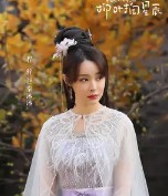 중드 추천 류엽적성진 등장인물 정재