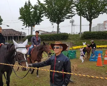 보은 대추축제_24