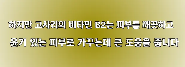  하지만 고사리의 비타민 B2는 피부를 깨끗하고 윤기 있는 피부로 가꾸는데 큰 도움을 줍니다