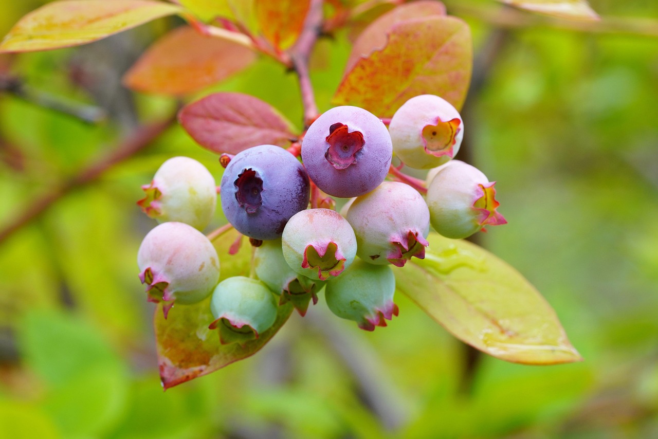 긱워커를 위한 신용 관리, 대출 전략, 금융 꿀팁 가이드