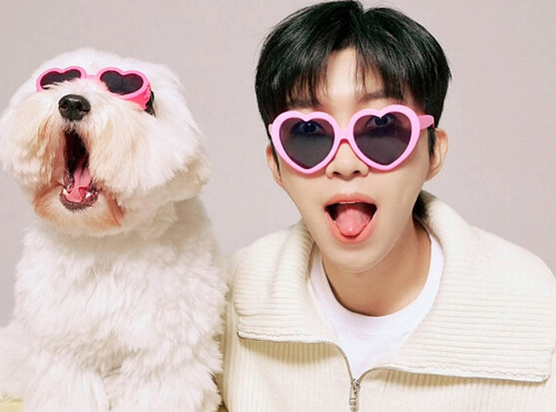 임영웅 불후의 명곡 방청 신청