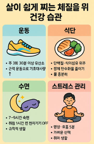 건강한 생활습관 인포그래픽