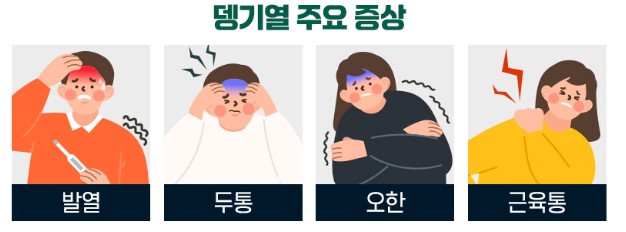 뎅기열_주요증상