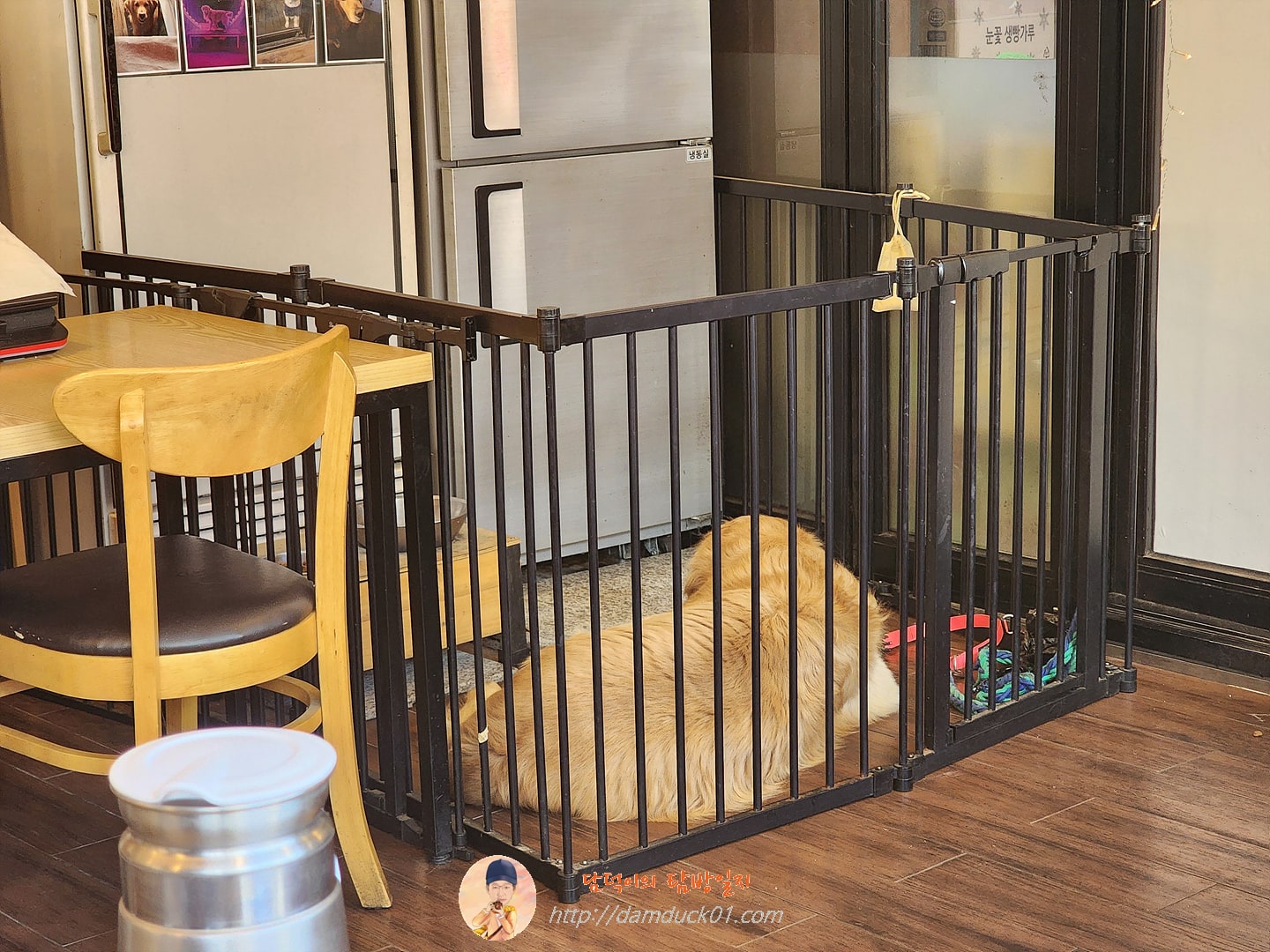 미스터신돈까스