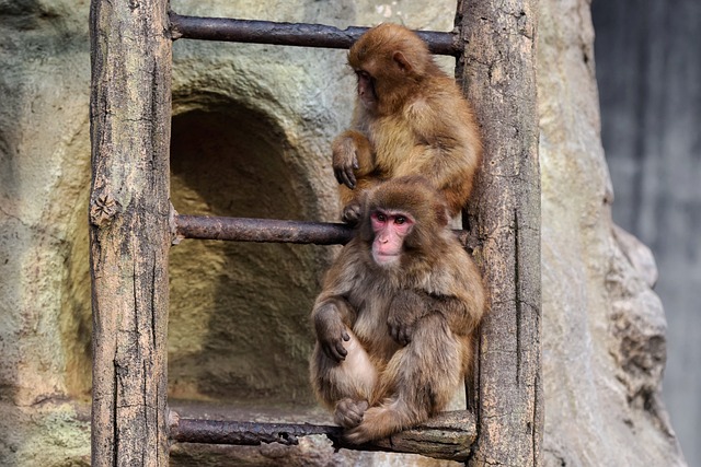 후쿠오카 동물원