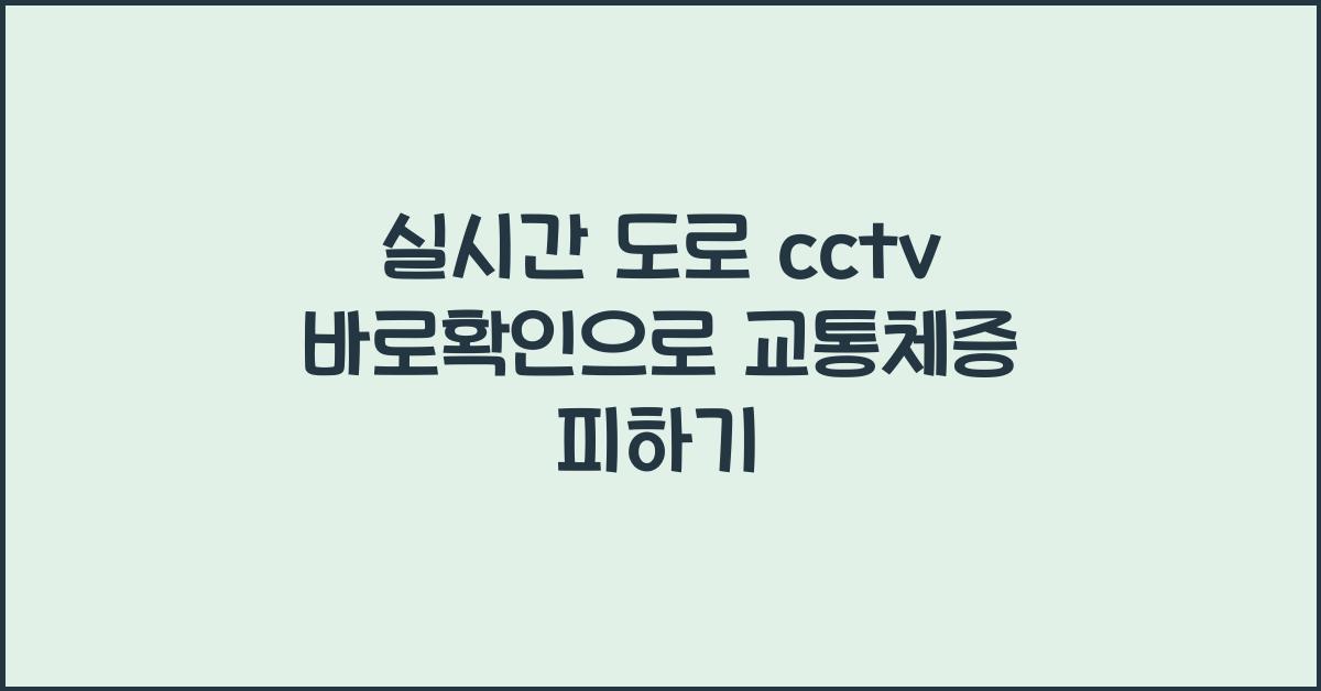 실시간 도로 cctv 바로확인