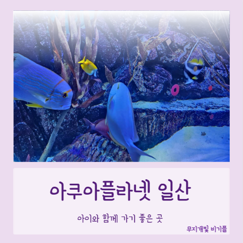 아쿠아플라넷-일산