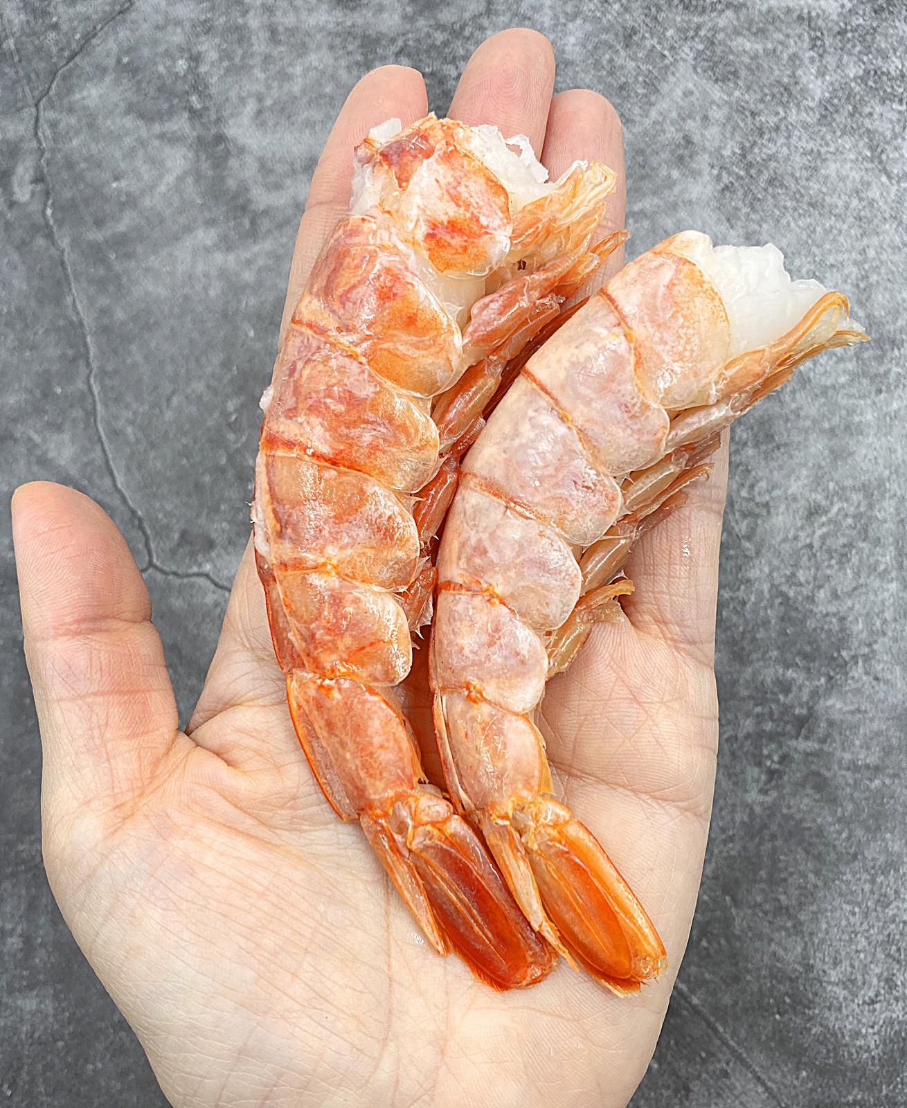 아르헨티나 붉은 새우 손바닥 위에