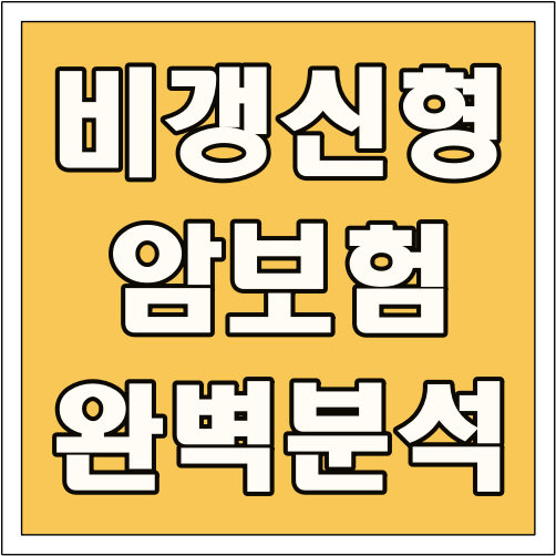 비갱신형 암보험 완벽 분석 글씨 썸네일