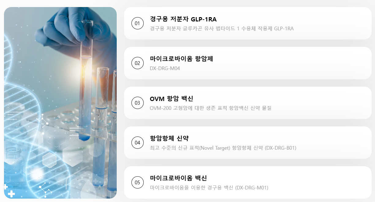 DXVX 파이프라인