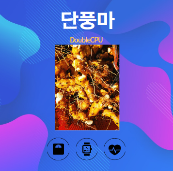 단풍마 알아보기