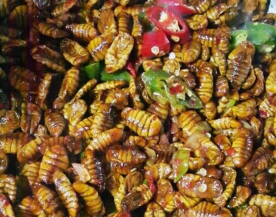 양념이-들어간-번데기-요리