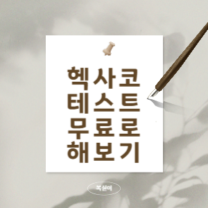 헥사코-테스트를-무료로-해보기