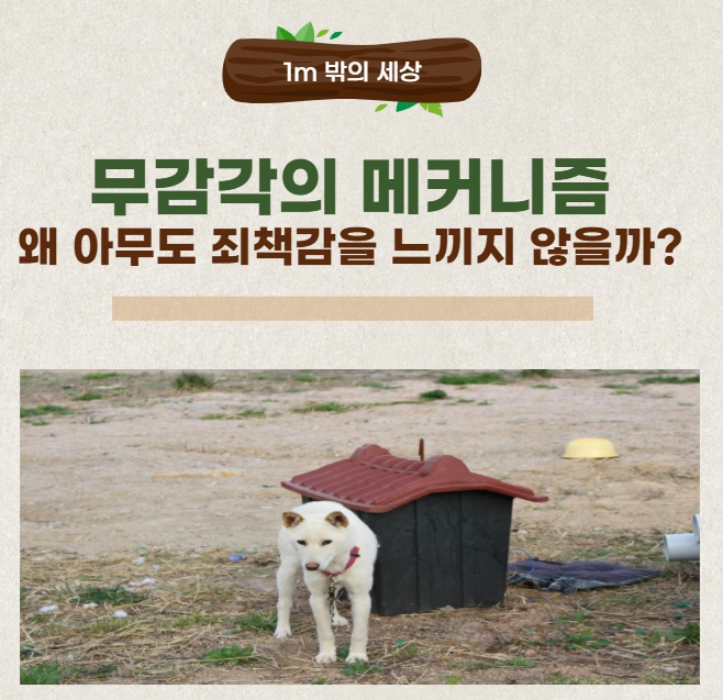 왜 방치하면서도 죄책감은 없을까: 무감각의 메커니즘