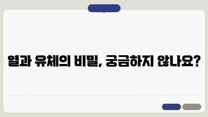 열유체역학의 실제 적용
