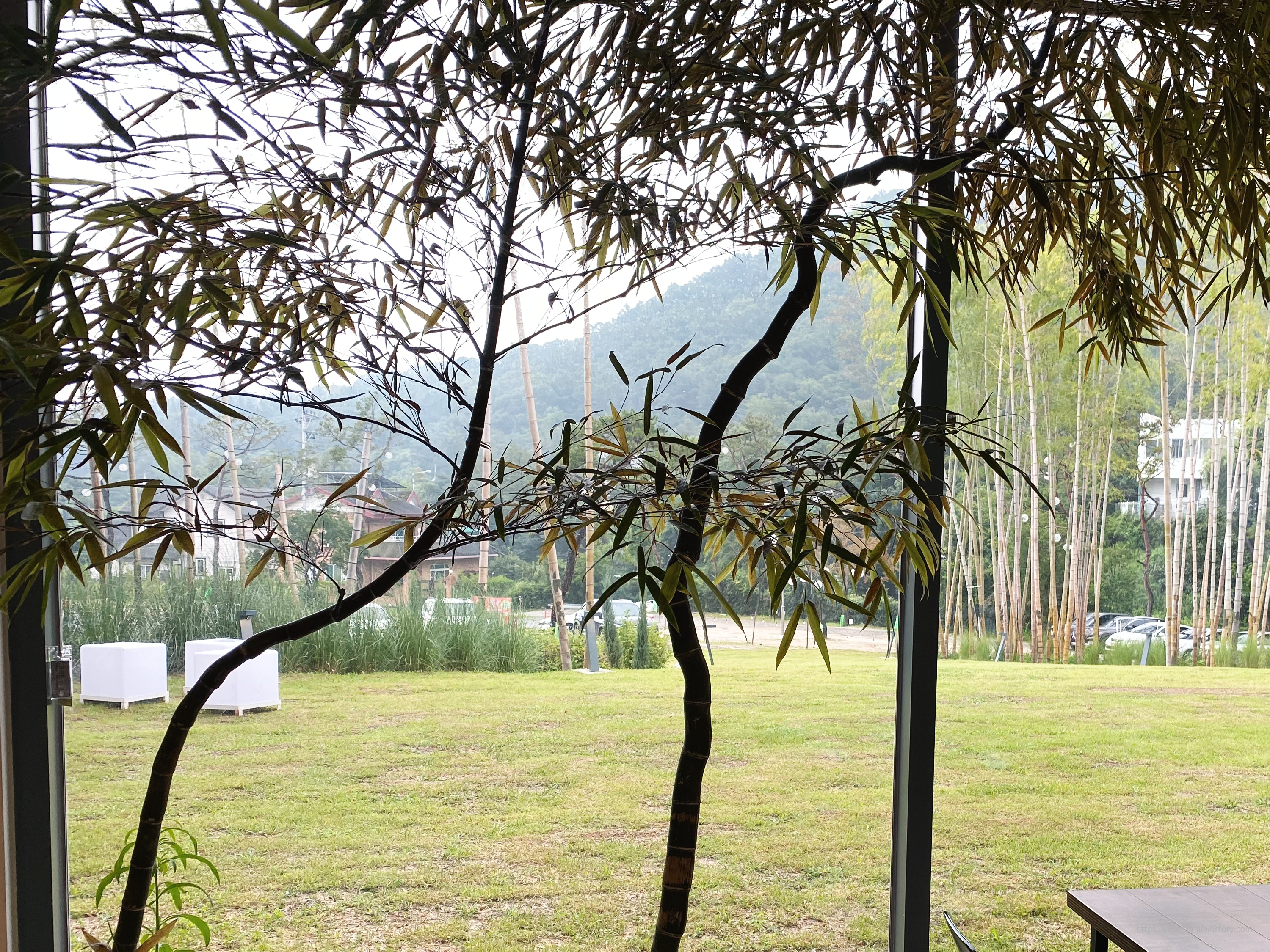 대전유성갑동-수피아 대형카페-십원빵