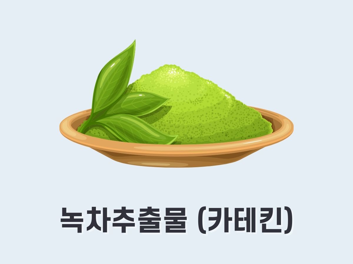 녹차추출물(카테킨)