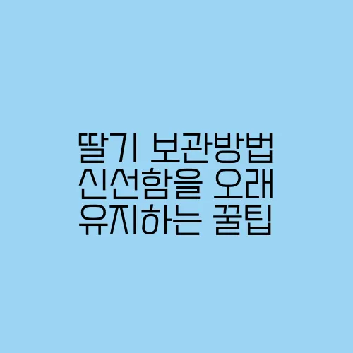 딸기 보관방법 신선함을 오래 유지하는 꿀팁