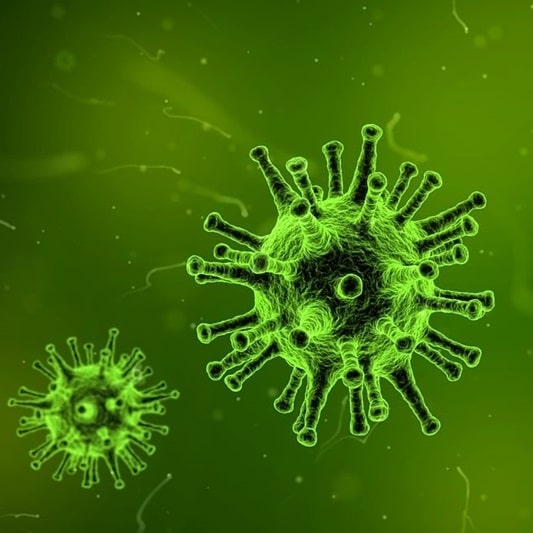 자궁경부암 주사