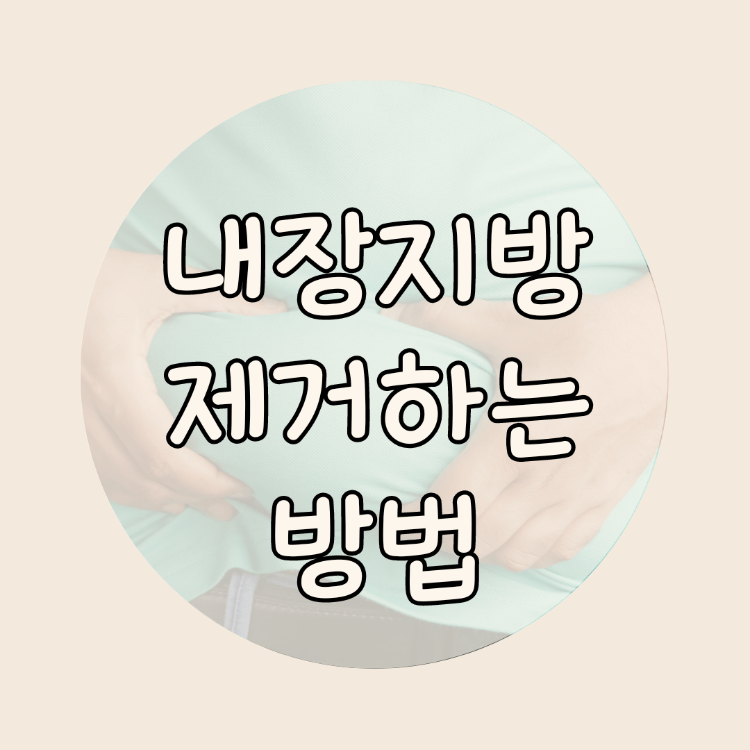 내장지방